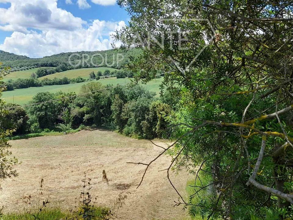 Tomt i Cinigiano, Grosseto - bilde 4