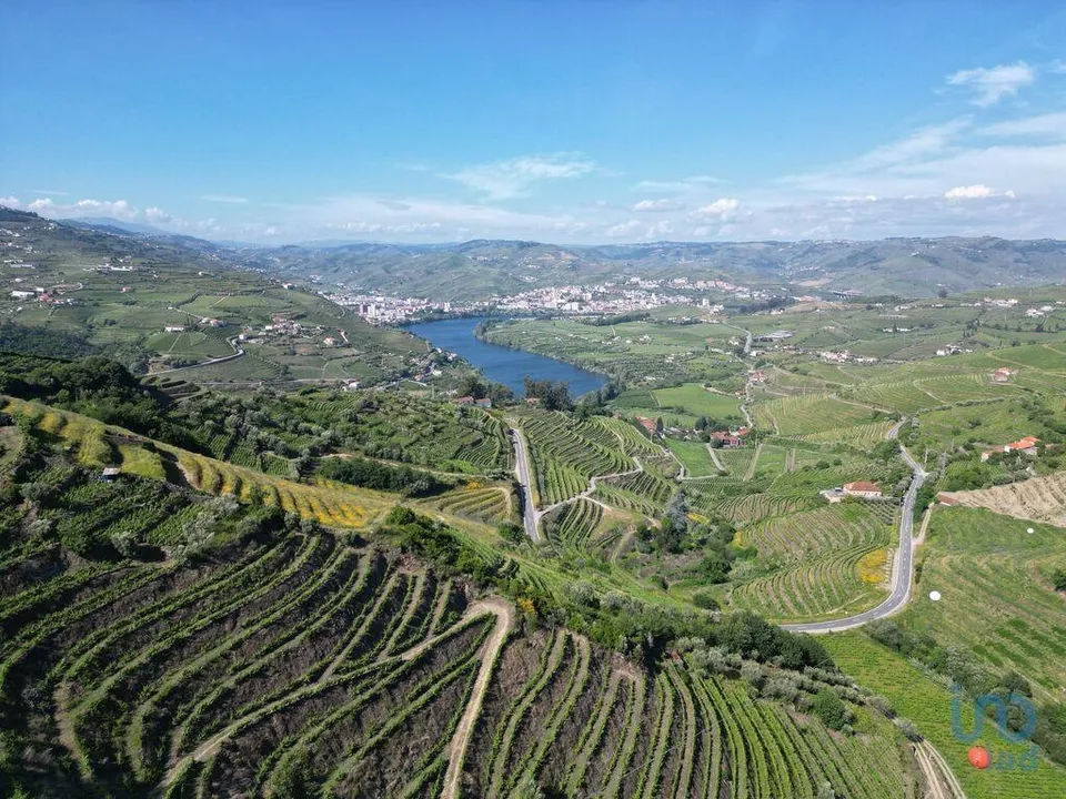 Tomt i Lamego, Viseu - bilde 1