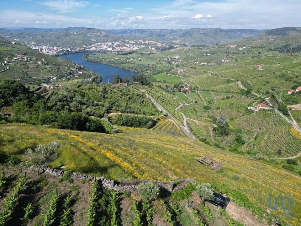 Tomt i Lamego, Viseu - bilde 2