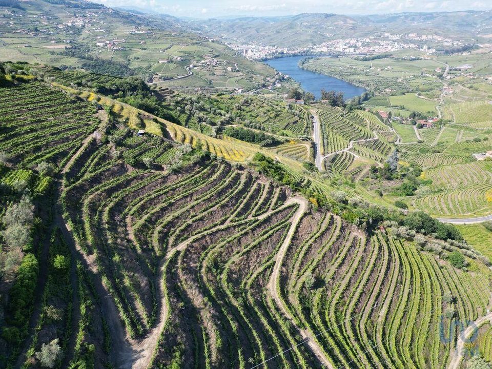 Tomt i Lamego, Viseu - bilde 3
