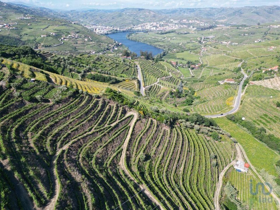 Tomt i Lamego, Viseu - bilde 4