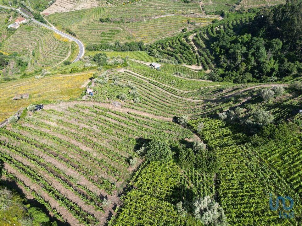 Tomt i Lamego, Viseu - bilde 5