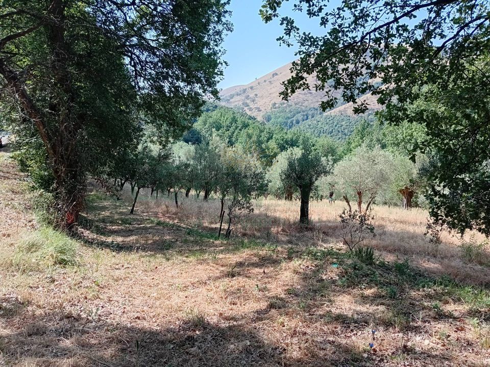 Helårsgrund i Giano Vetusto, Caserta - foto 3
