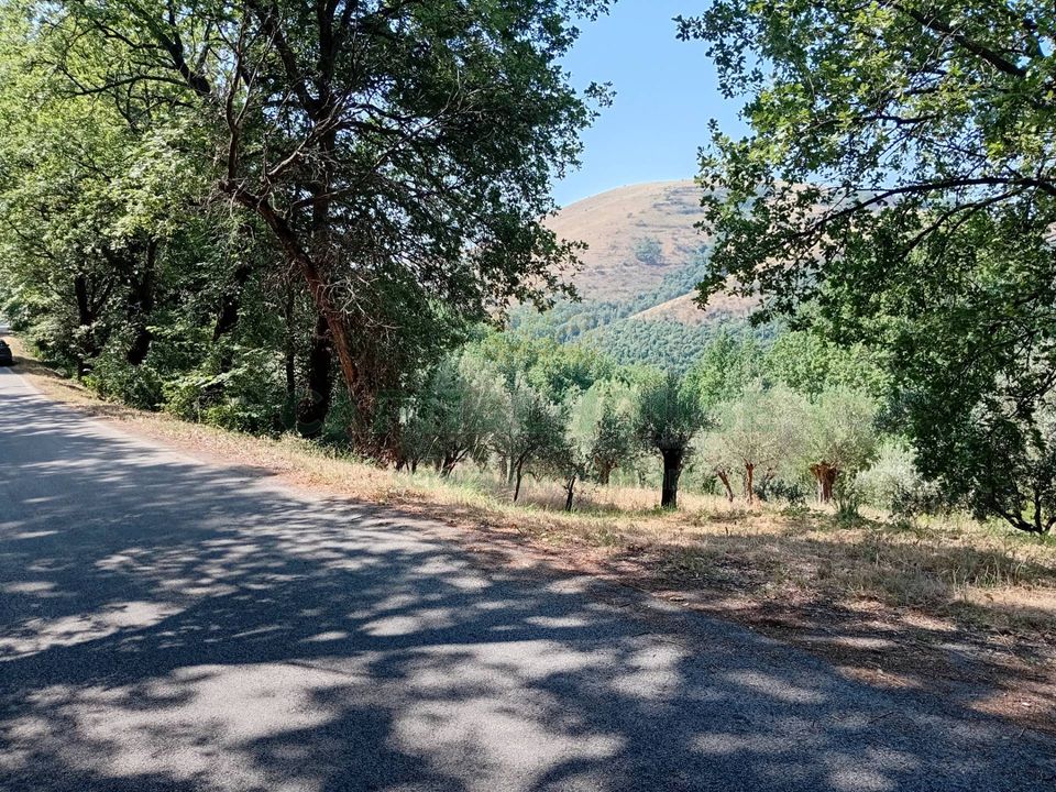 Helårsgrund i Giano Vetusto, Caserta - foto 5