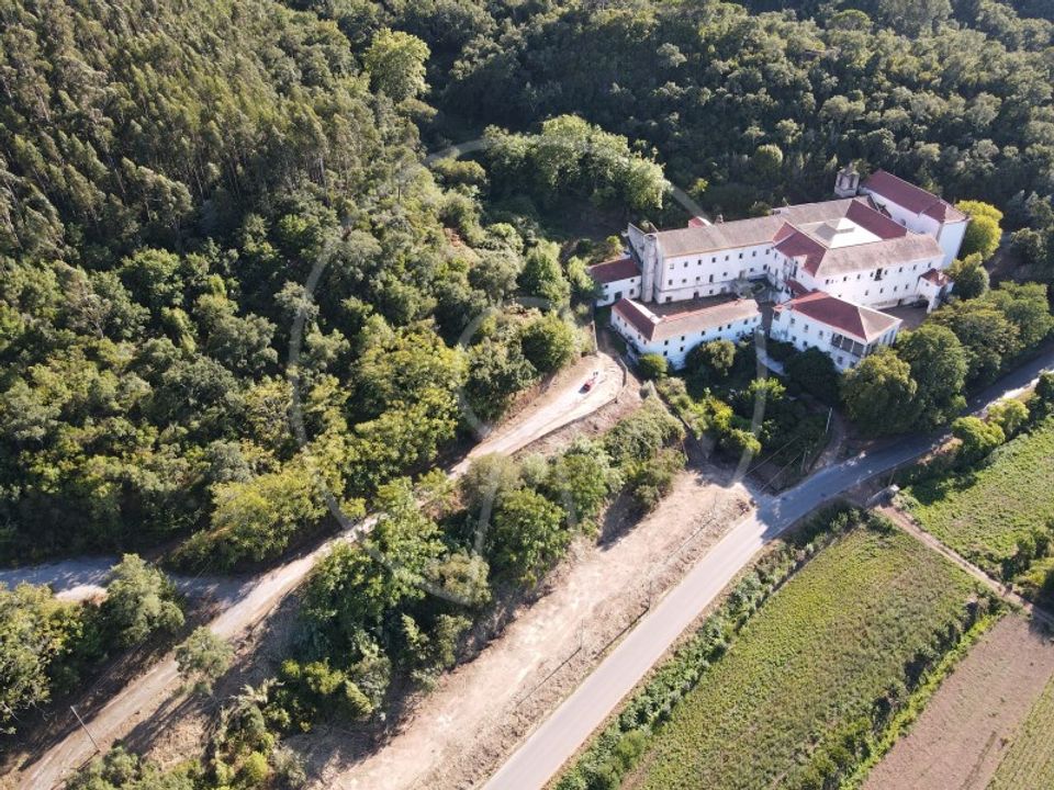 Farm i Coimbra, Coimbra - foto 3
