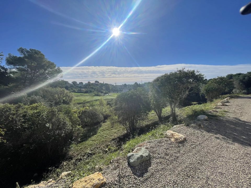 Terra a Mougins, Alpes-Maritimes - foto 5