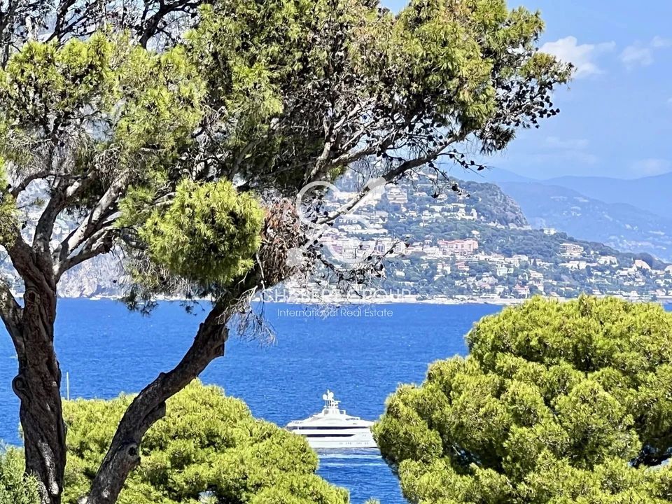Villa i Saint-Jean-Cap-Ferrat, Alpes-Maritimes - foto 4