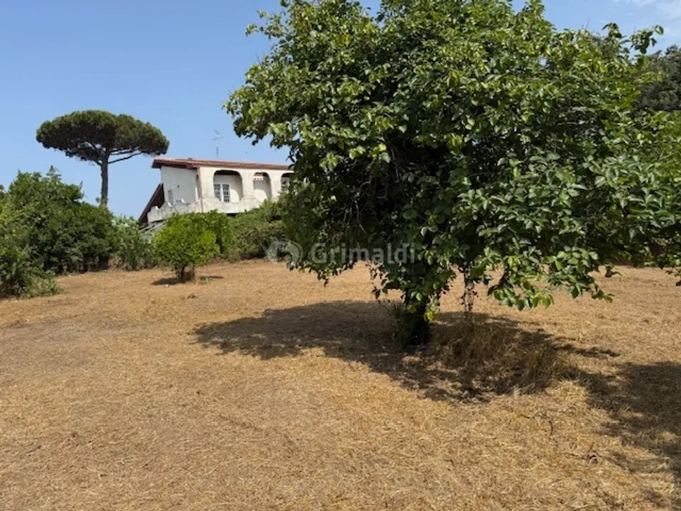 Helårsgrund i Nettuno, Rome - foto 2