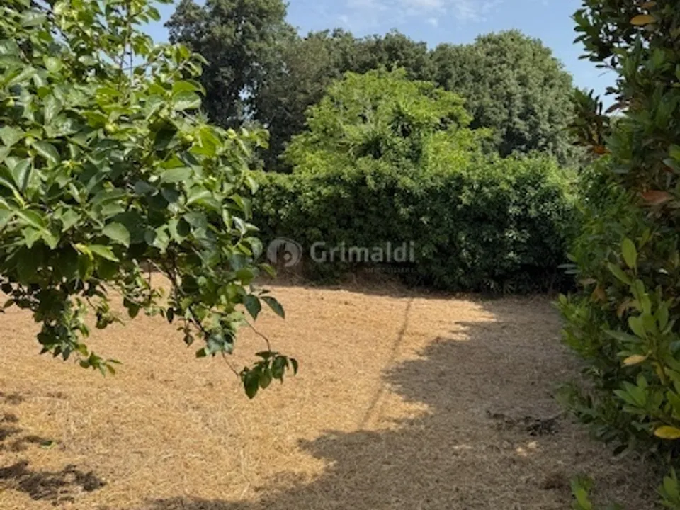 Helårsgrund i Nettuno, Rome - foto 3