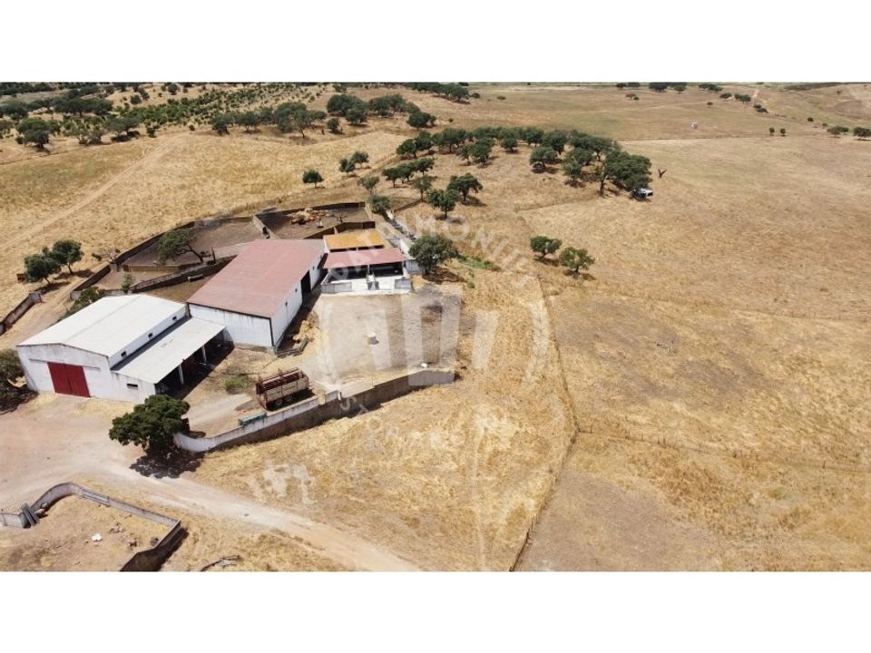 Masia a Ourique, Beja - foto 4