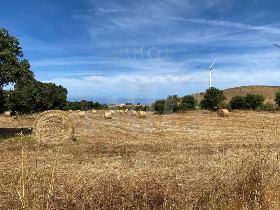 Farm i Sines, Setubal - foto 1