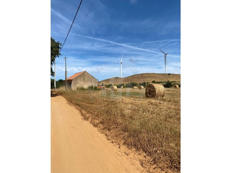 Farm i Sines, Setubal - foto 4