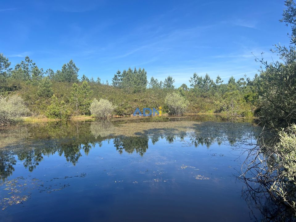 Helårsgrund i Cebolais de Cima, Castelo Branco - foto 2