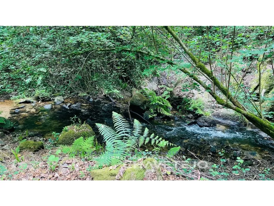 Landejendom i Figueiro dos Vinhos, Leiria - foto 2