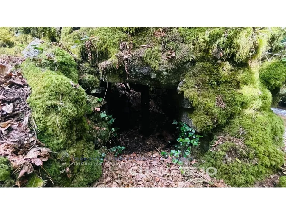 Landejendom i Figueiro dos Vinhos, Leiria - foto 4