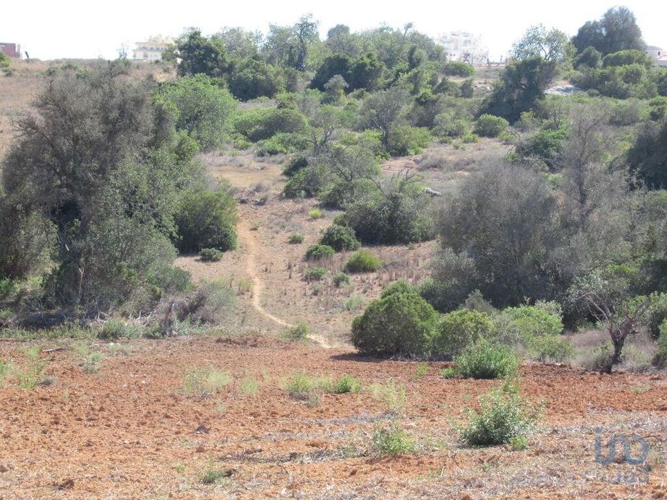 Helårsgrund i Silves, Faro - foto 3