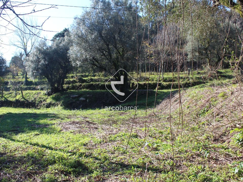 Terra a Ponte de Lima, Viana do Castelo - foto 3