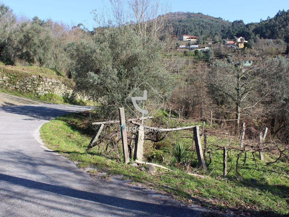 Terra a Ponte de Lima, Viana do Castelo - foto 4