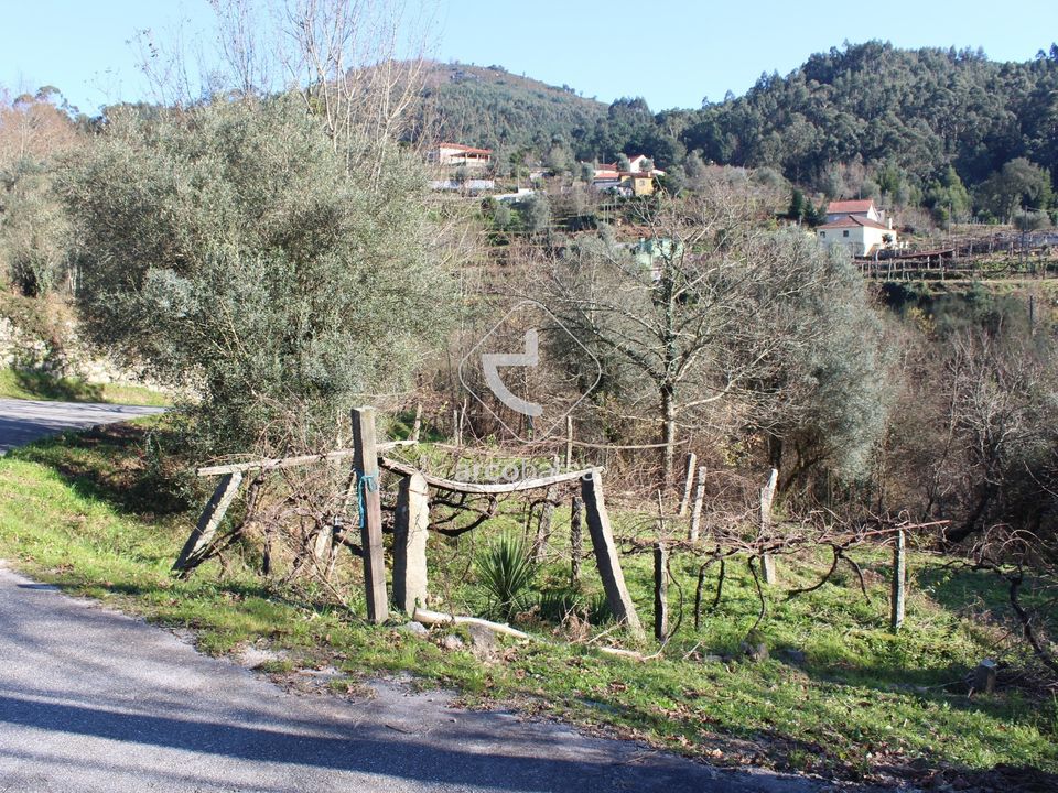 Terra a Ponte de Lima, Viana do Castelo - foto 1