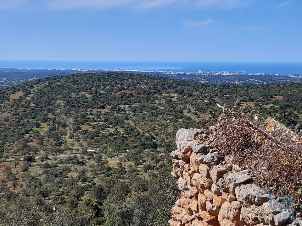 Rekkehus i Loule, Faro - bilde 1