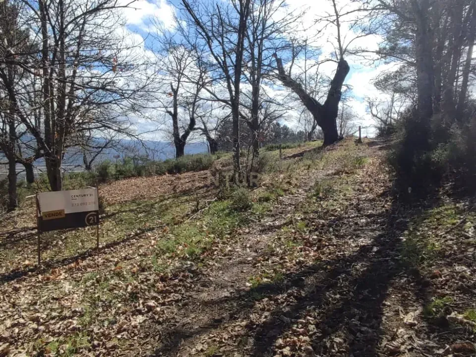 Terra a Vinhais, Braganca - foto 3