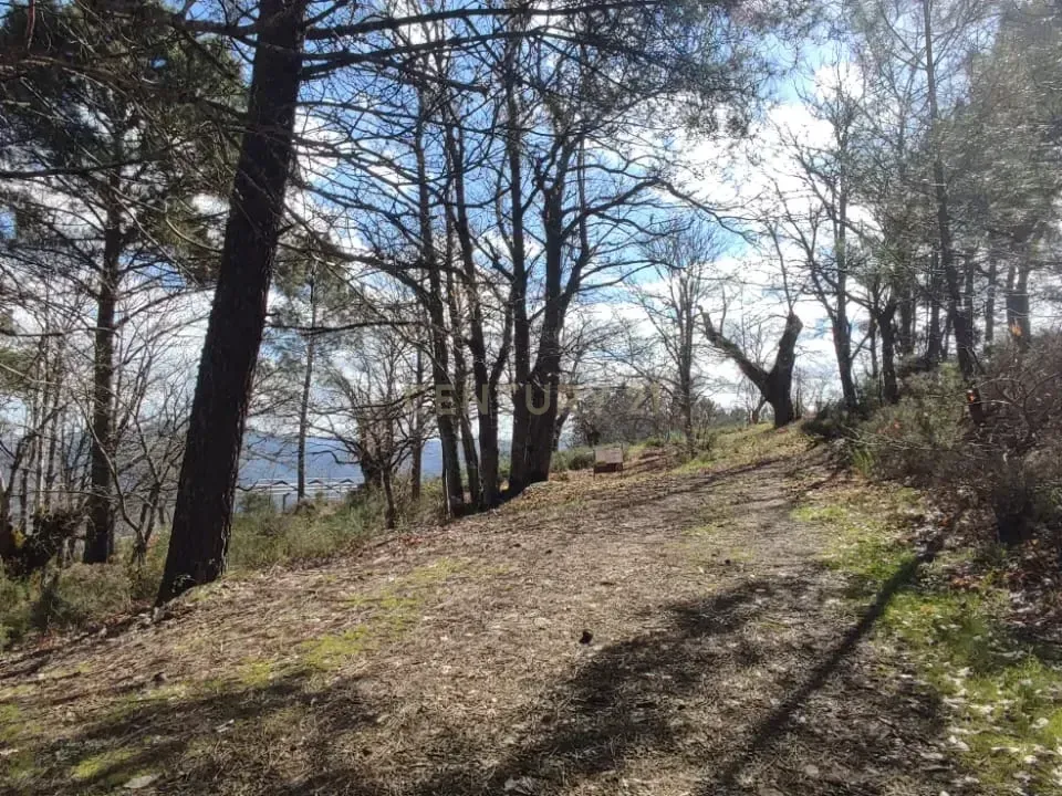 Terra a Vinhais, Braganca - foto 4