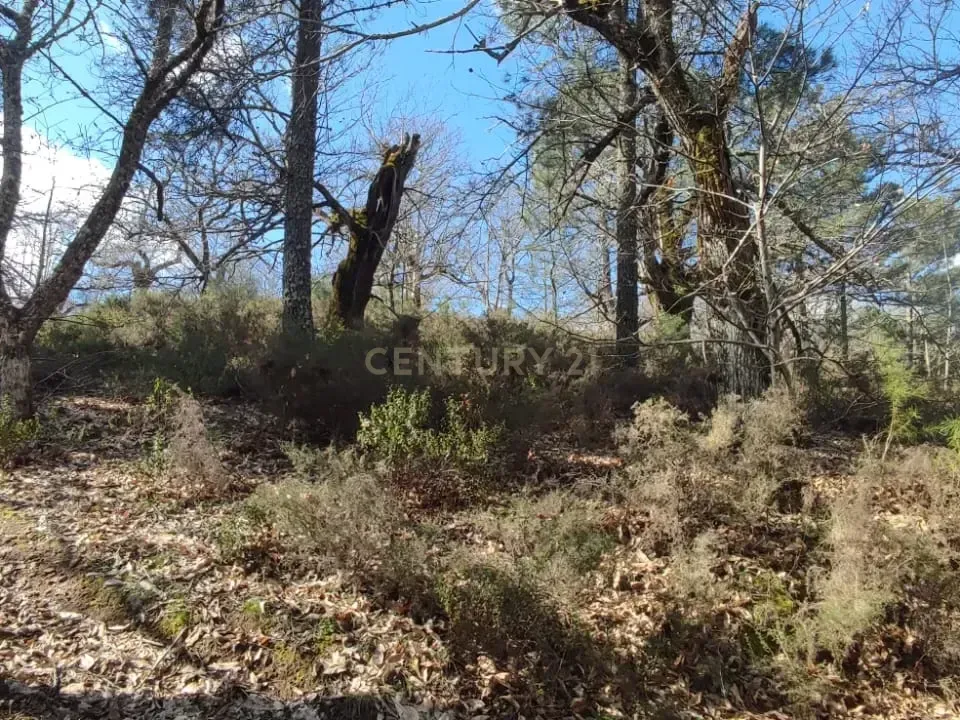 Terra a Vinhais, Braganca - foto 5