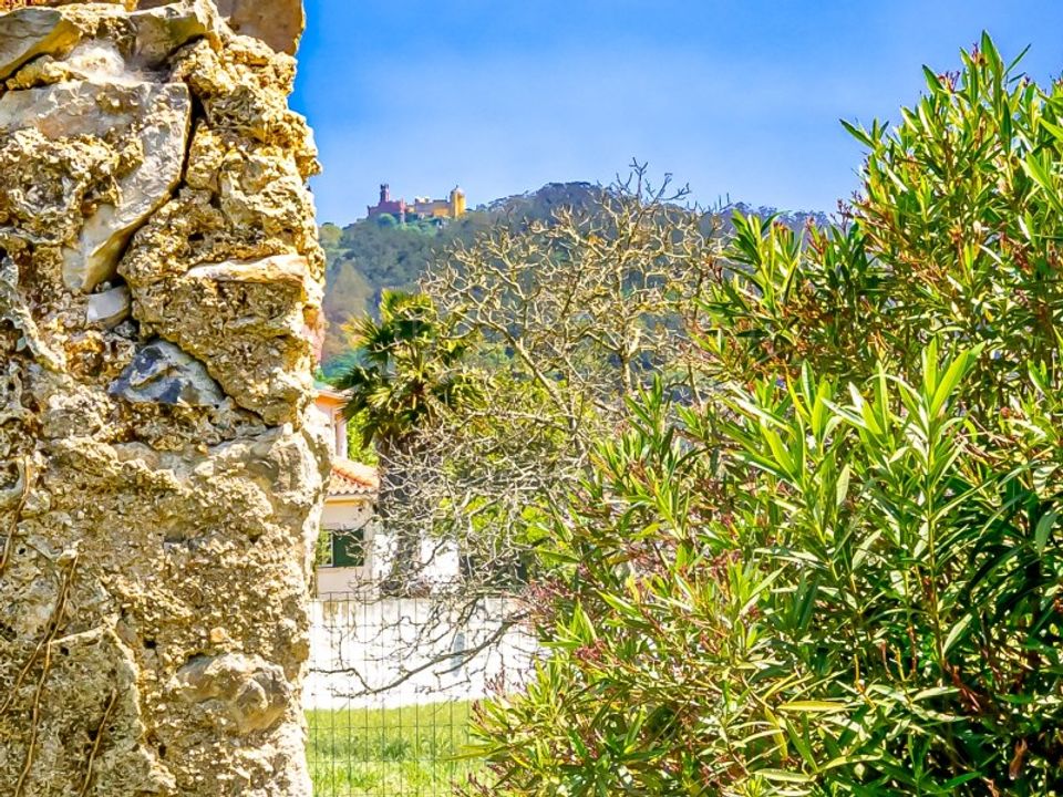 Villa i Sintra, Lisbon - foto 3