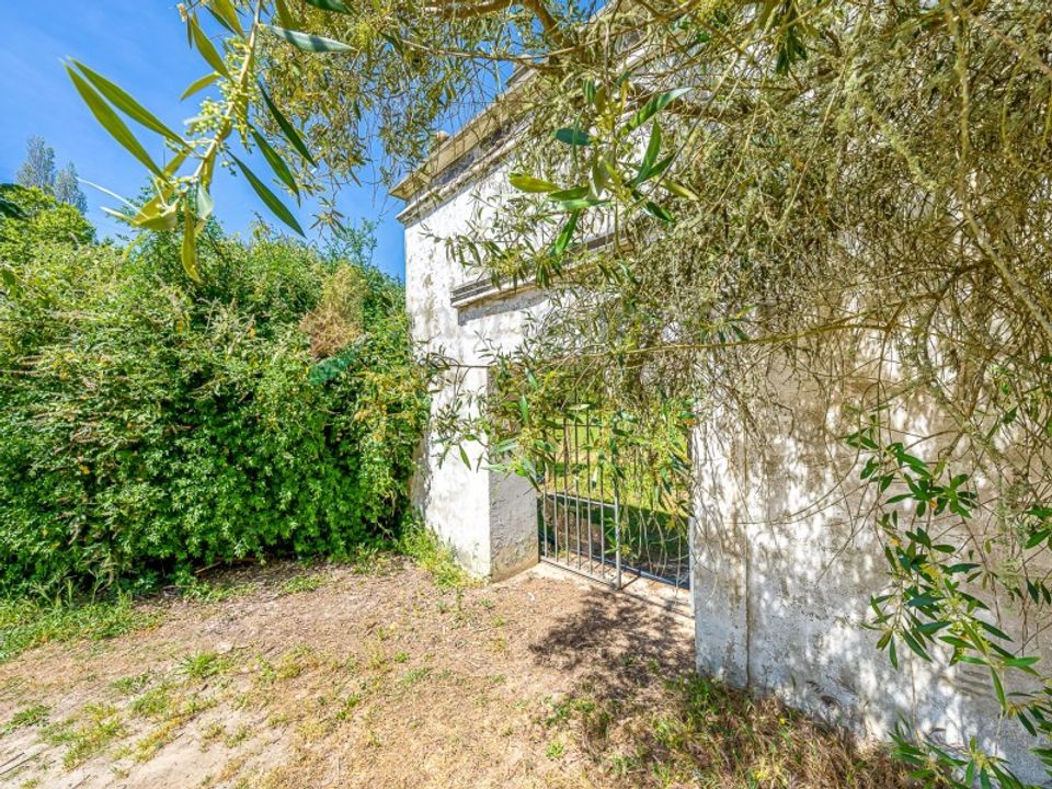 Villa i Sintra, Lisbon - foto 4