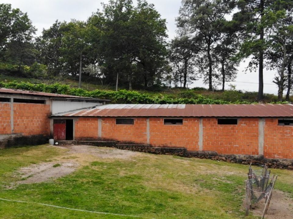 Helårsgrund i Vieira do Minho, Braga - foto 3