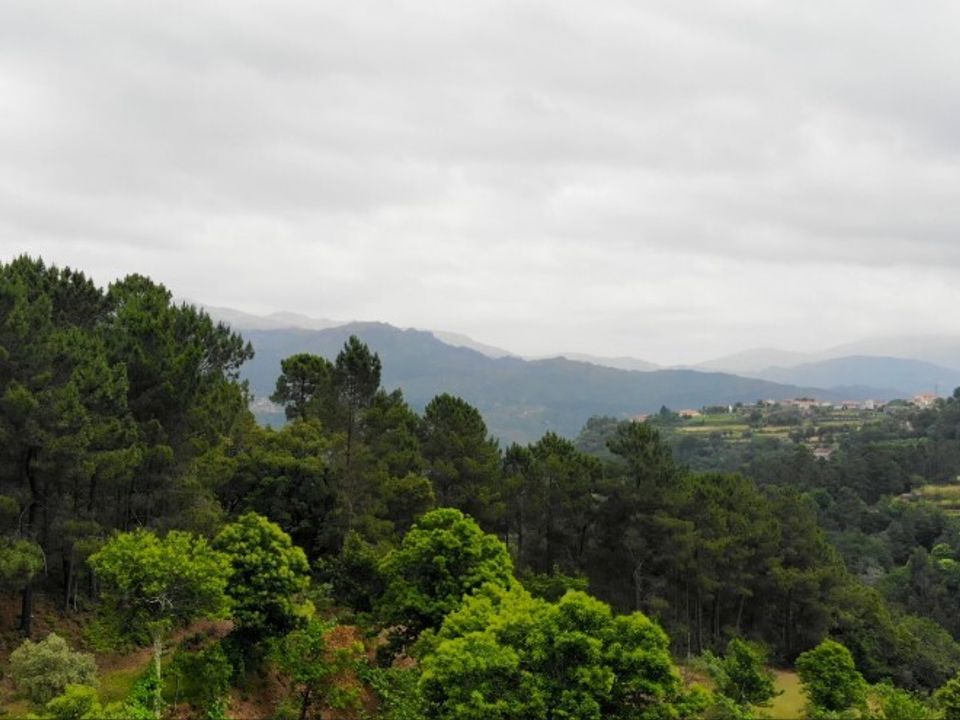 Helårsgrund i Vieira do Minho, Braga - foto 5