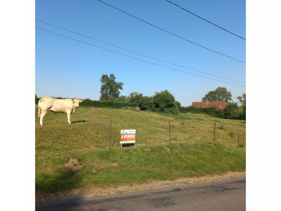 Helårsgrund i Fressin, Pas-de-Calais - foto 2