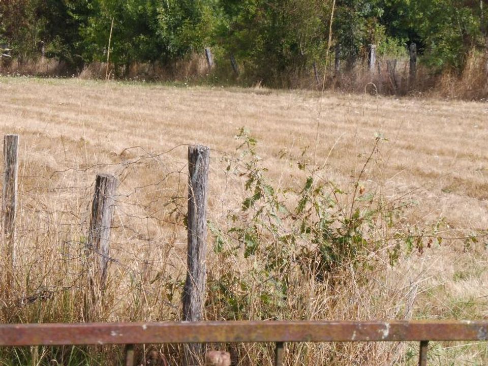 Helårsgrund i Saint-Médard-de-Guizières, Gironde - foto 1
