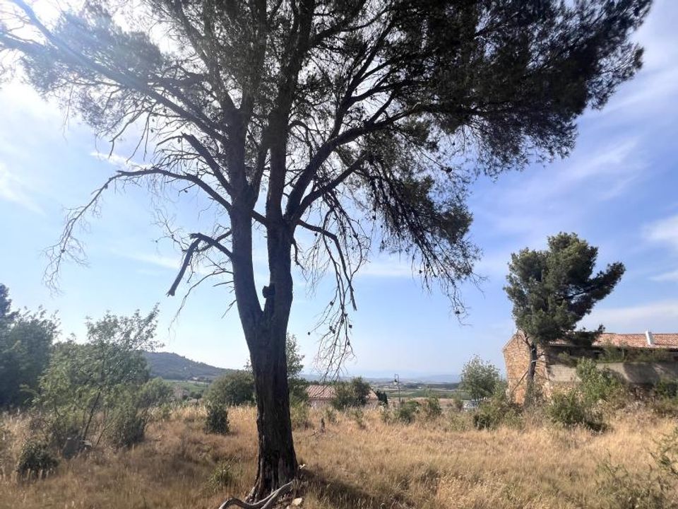 Helårsgrund i Boutenac, Aude - foto 1