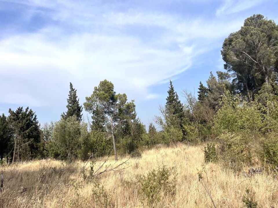 Helårsgrund i Boutenac, Aude - foto 2