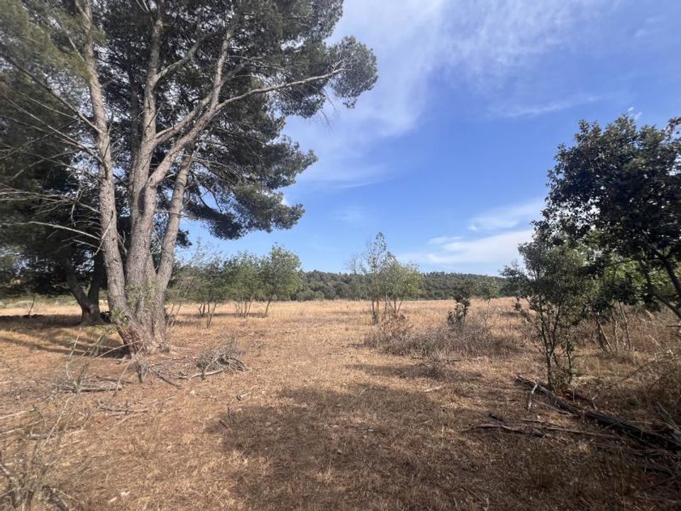 Helårsgrund i Boutenac, Aude - foto 3