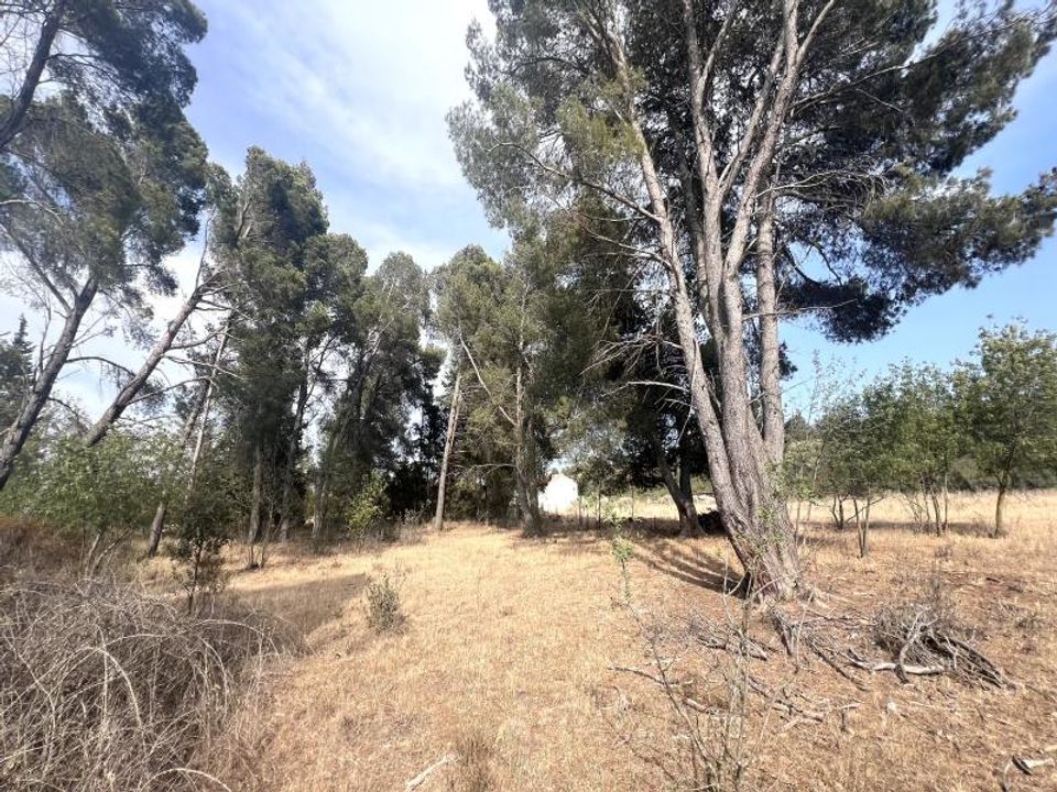 Helårsgrund i Boutenac, Aude - foto 4