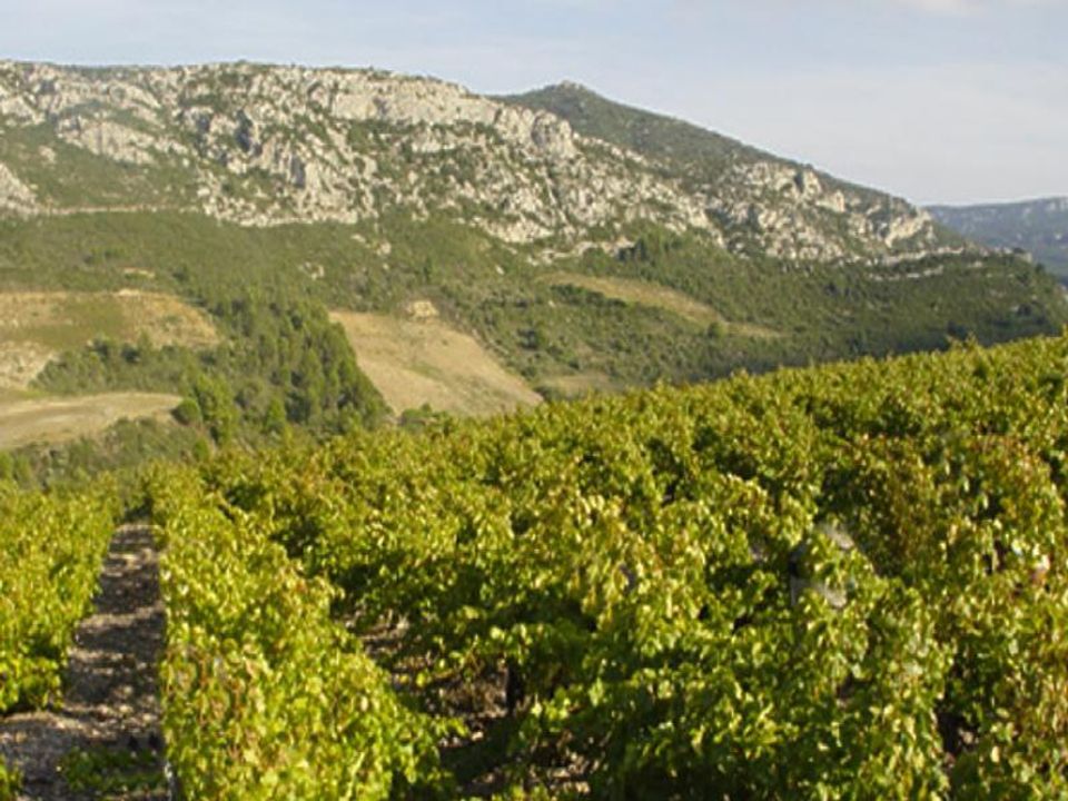 Helårsgrund i Boutenac, Aude - foto 5