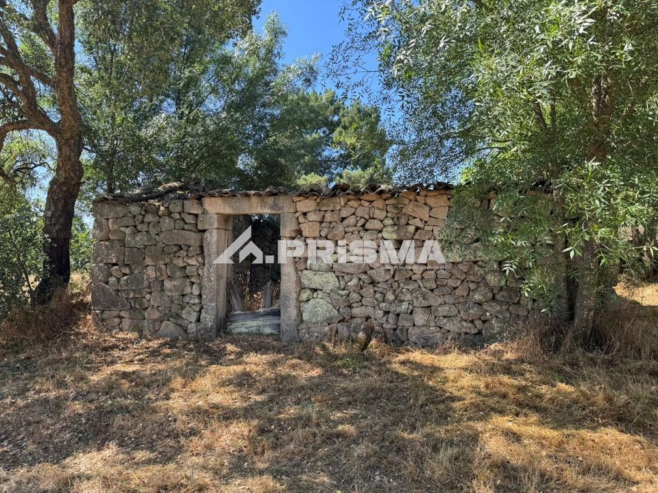 Helårsgrund i Castelo Branco, Castelo Branco - foto 1