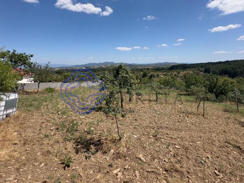 Farm i Valpacos, Vila Real - foto 1