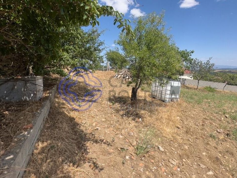 Farm i Valpacos, Vila Real - foto 2