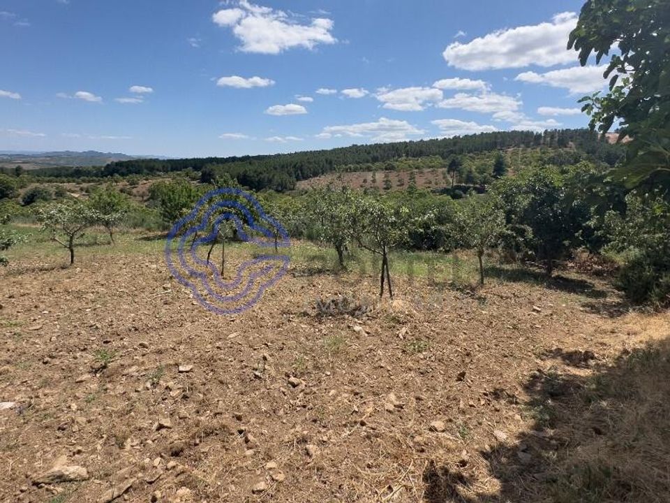 Farm i Valpacos, Vila Real - foto 3