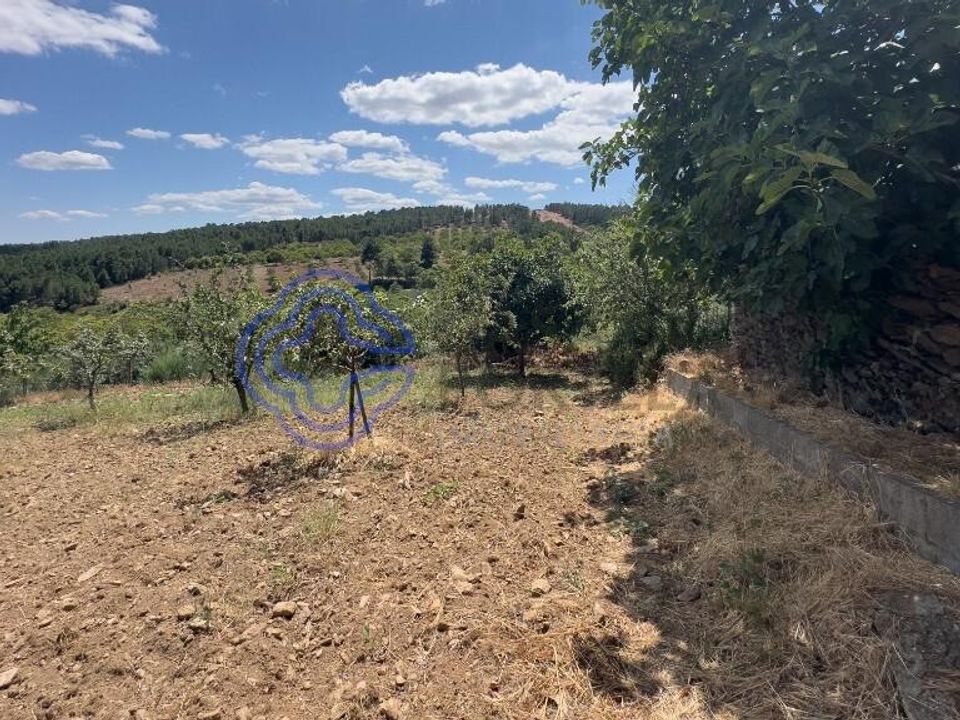 Farm i Valpacos, Vila Real - foto 4