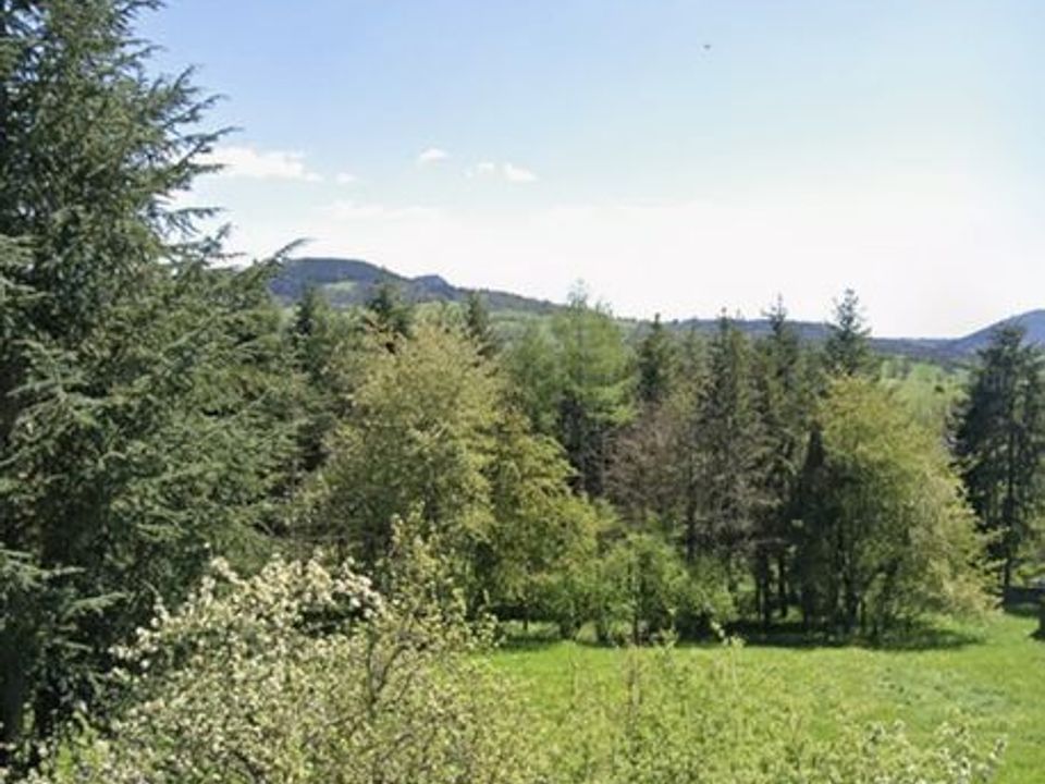 Helårsgrund i Rosières, Haute-Loire - foto 3