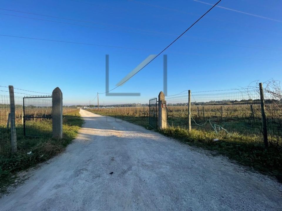 Helårsgrund i Palmela, Setubal - foto 1