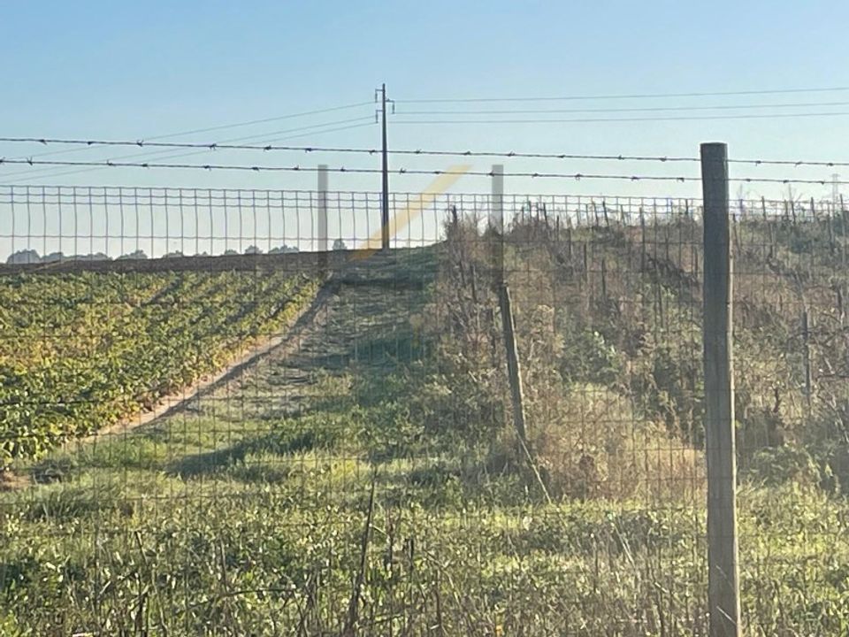 Helårsgrund i Palmela, Setubal - foto 2