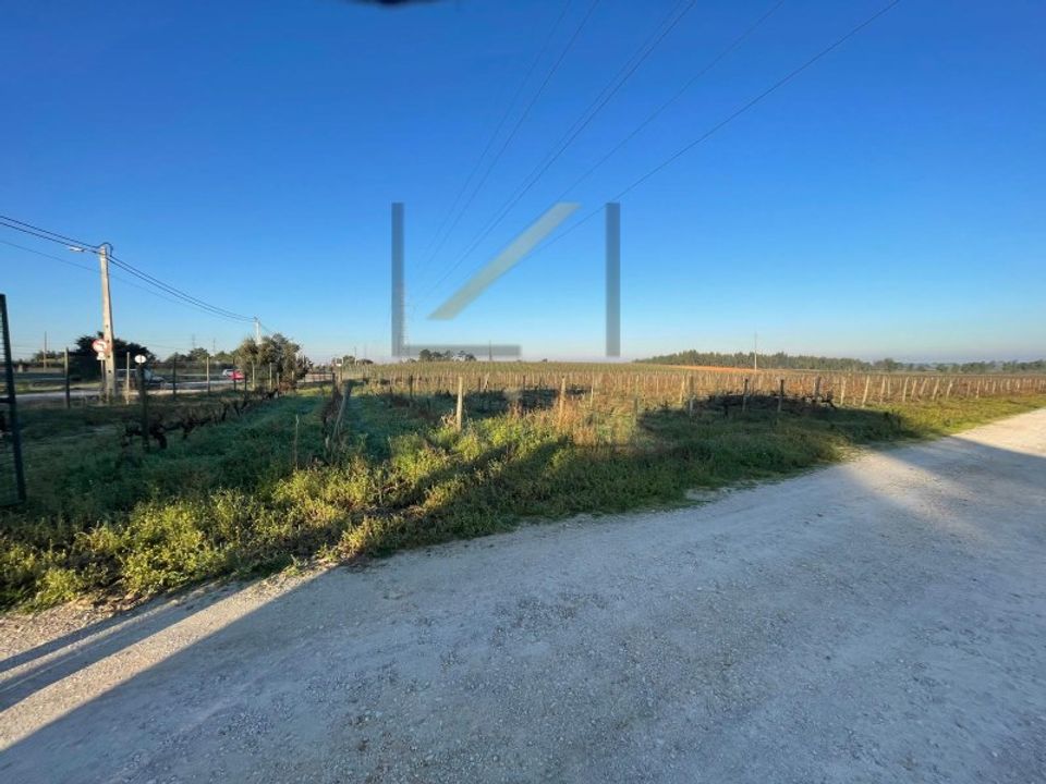 Helårsgrund i Palmela, Setubal - foto 4