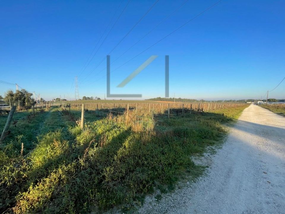 Helårsgrund i Palmela, Setubal - foto 5