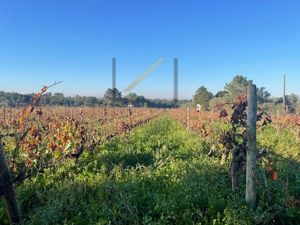 Helårsgrund i Quinta do Anjo, Setubal - foto 2