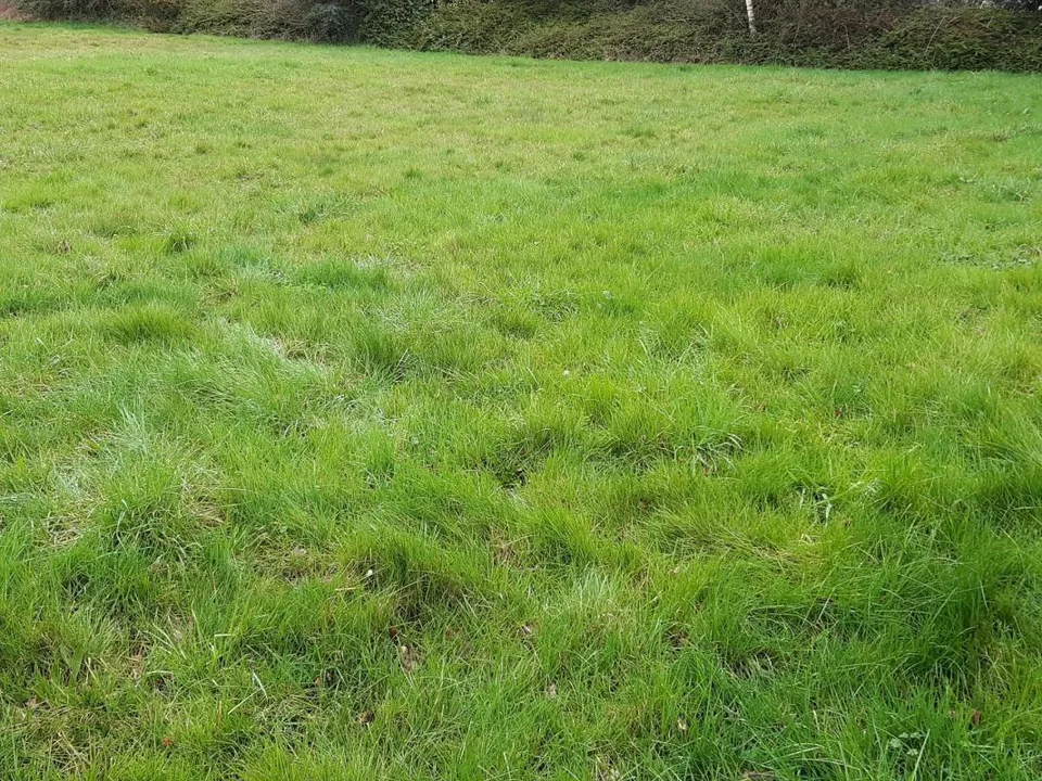 Helårsgrund i Vannes, Morbihan - foto 1